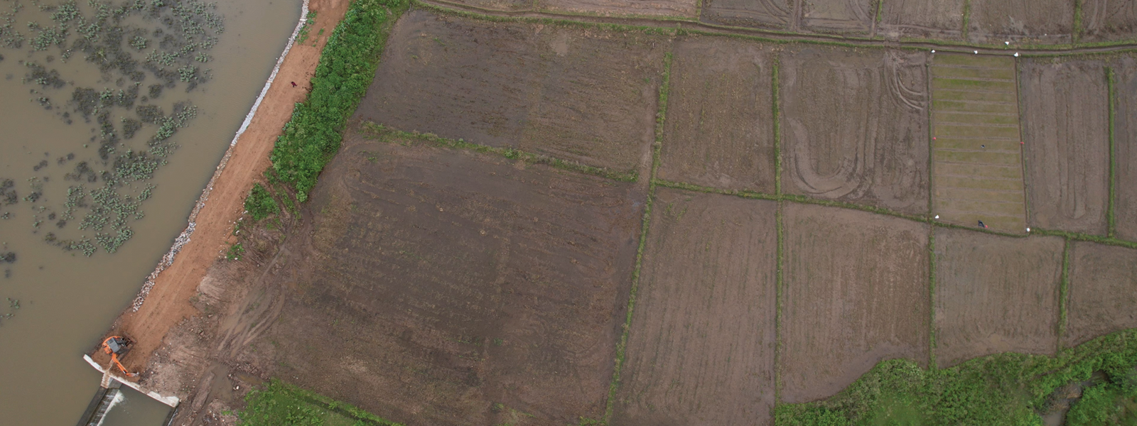 agriculture-land